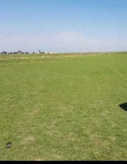 زمین کشاورزی دیم