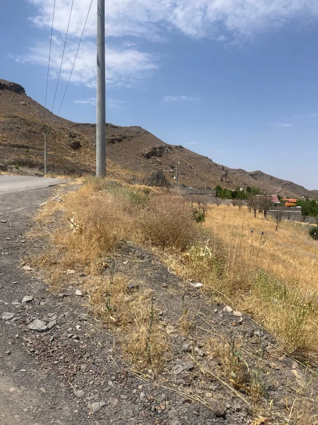 زمین باغ ۵۰۰ متری حاشیه آسفالت عارفی ۲۹ سر نبش
