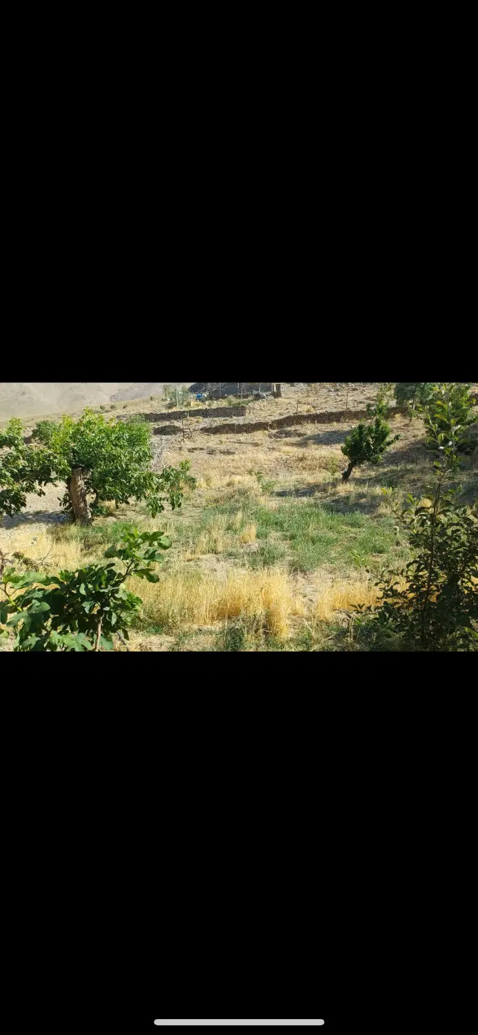 باغچه ۶۰۰ متر مربع در دل روستای زیبای هزاوه