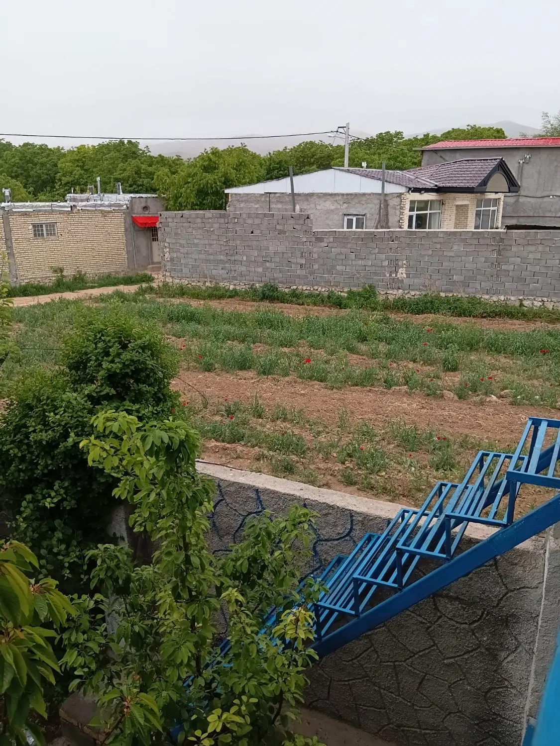 اجاره ویلا کوتاه مدت