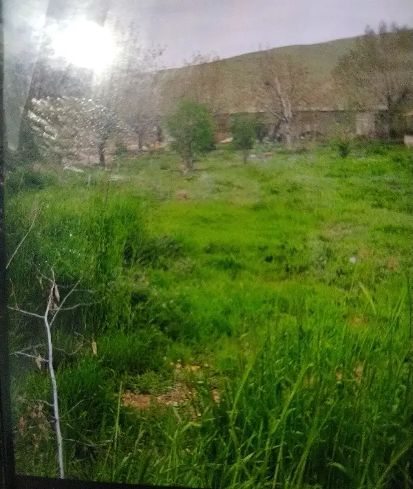 فروش باغ ویلا