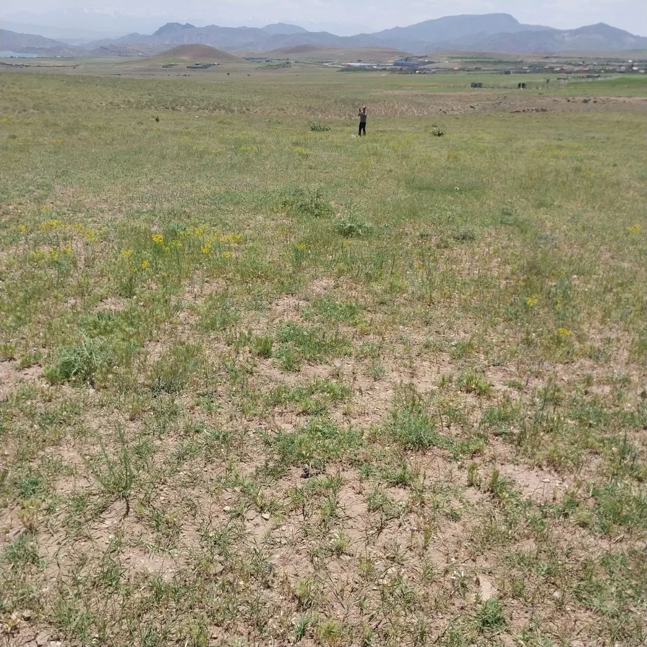 زمین ویلایی