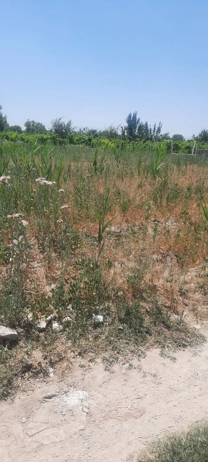 زمین زراعی.به متراژ ۲۲۰۰.متر