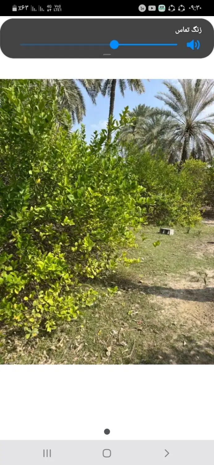 زمین