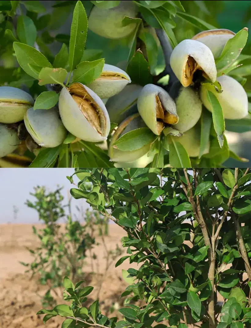 قبل از خرید زمین فقط ۲ دقیقه با ما صحبت کنید