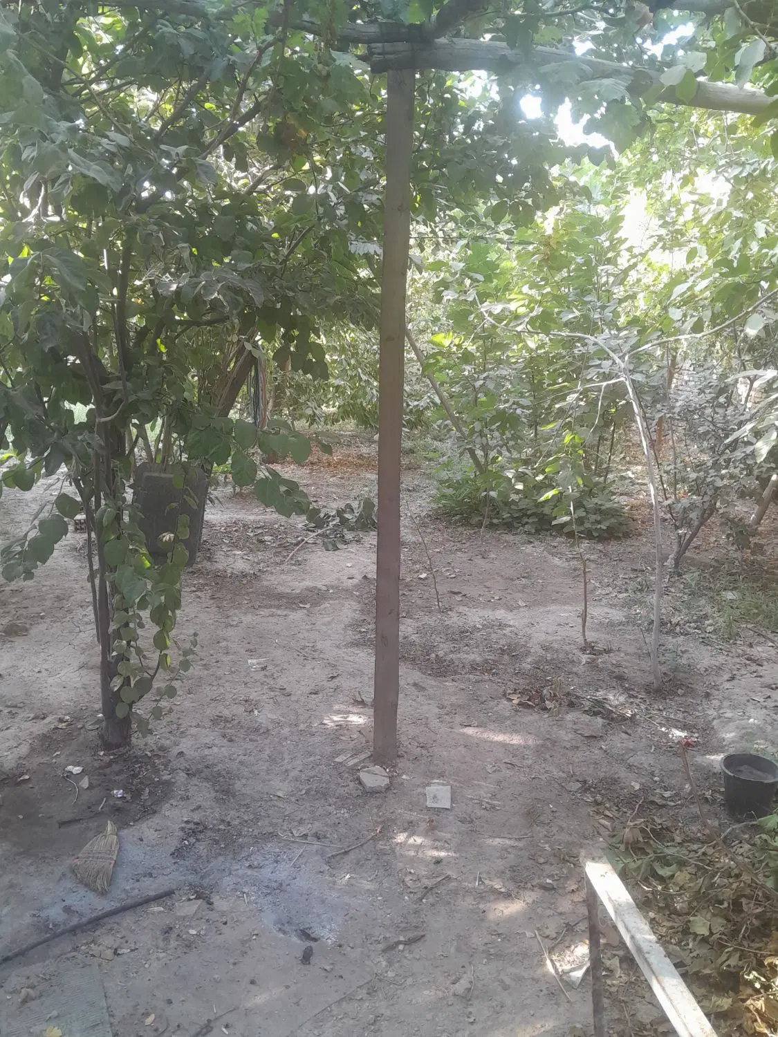زمین تجاری مسکونی