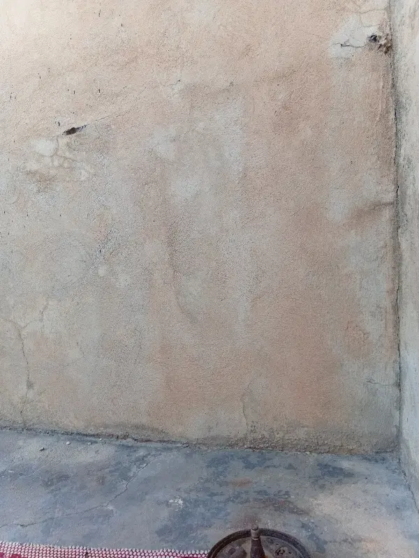 زمین کشاورزی‌