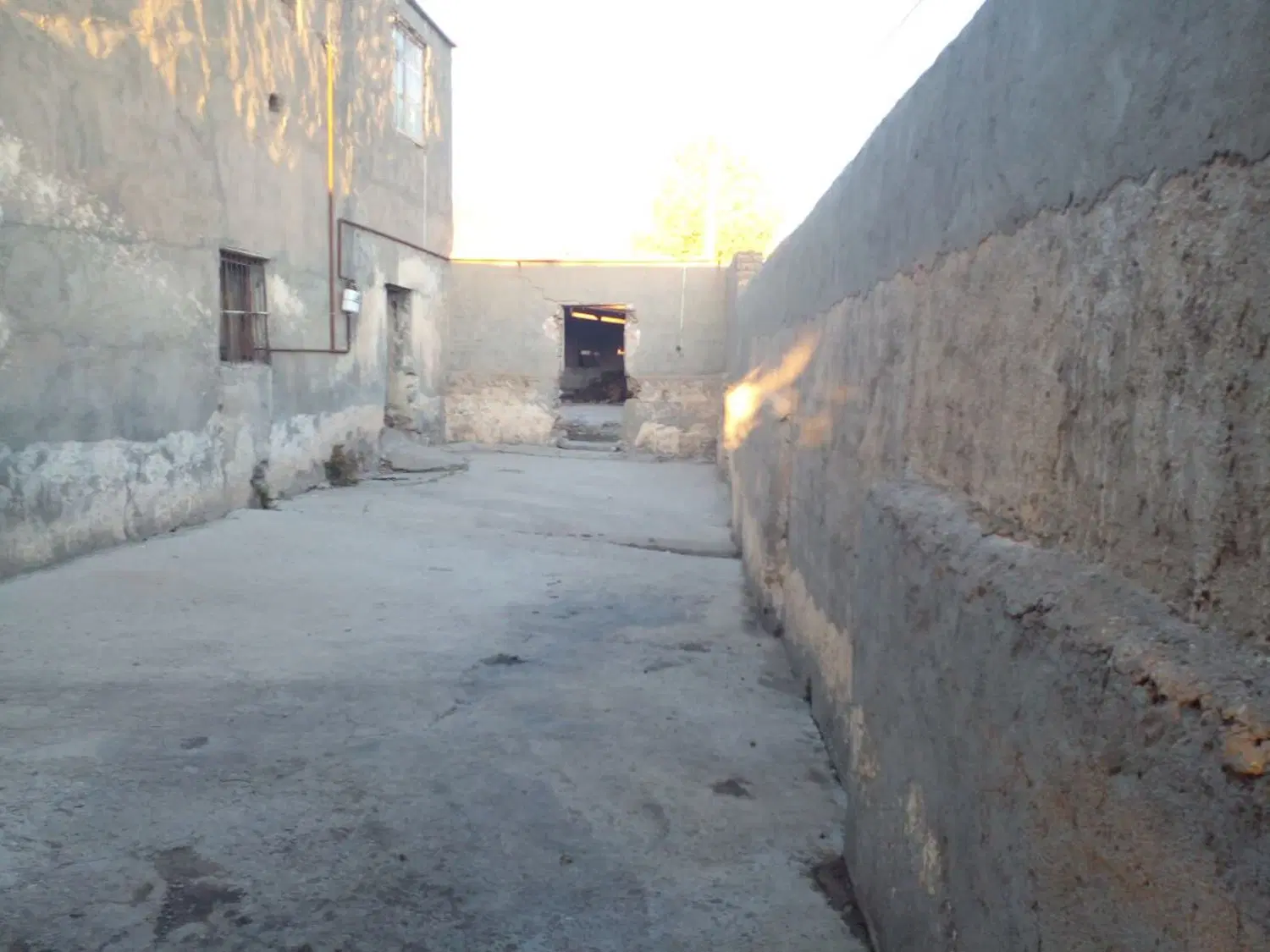 دامپروری