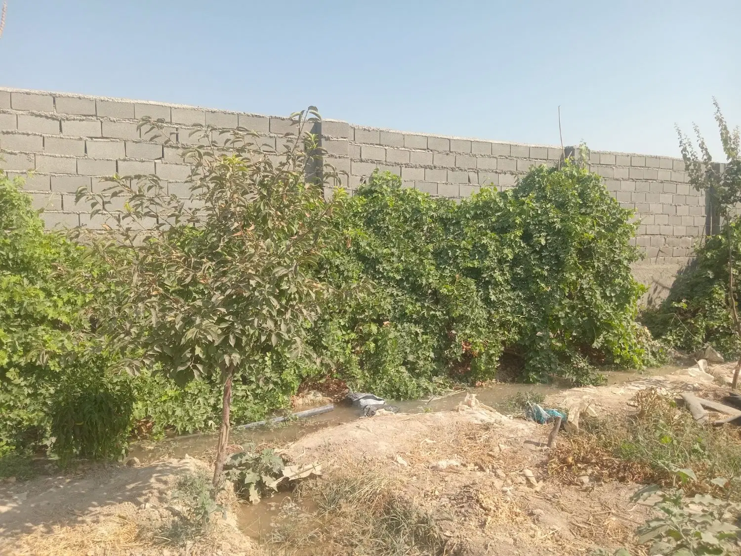 باغچه محدوده یوسف رضا