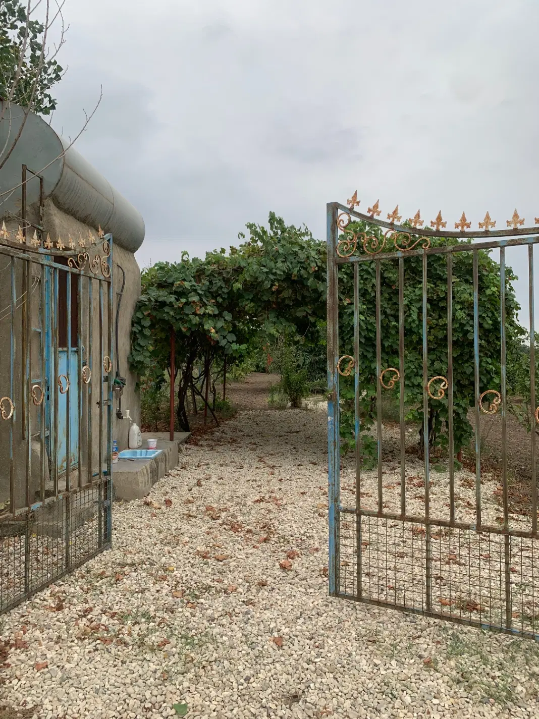 باغ ۵۰۰متری با امکانات کامل