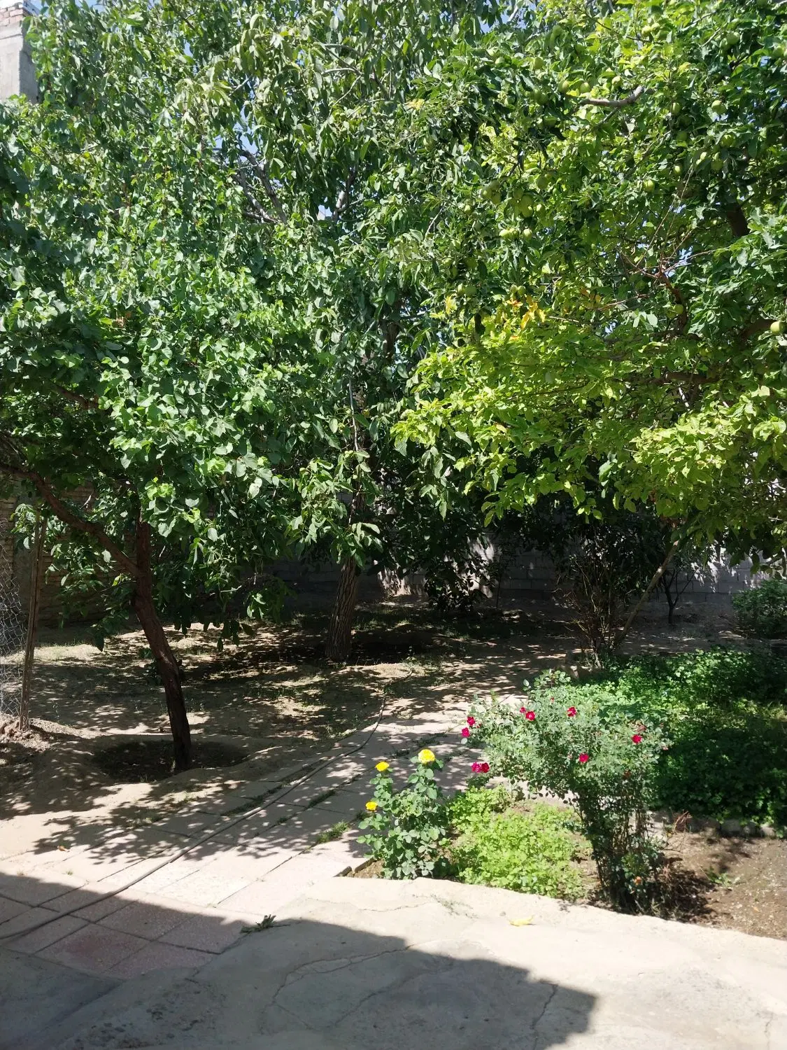 خانه در ساورا