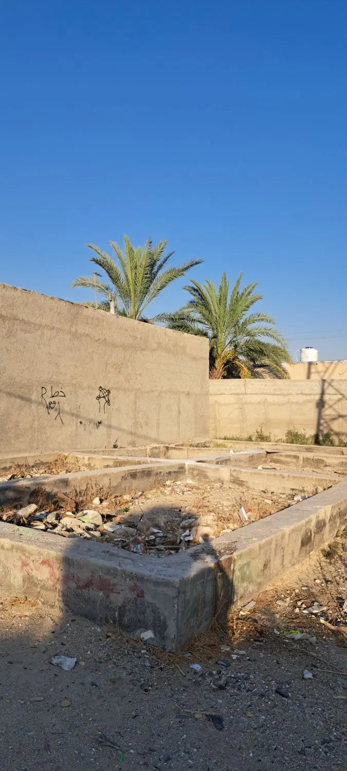 زمین 168