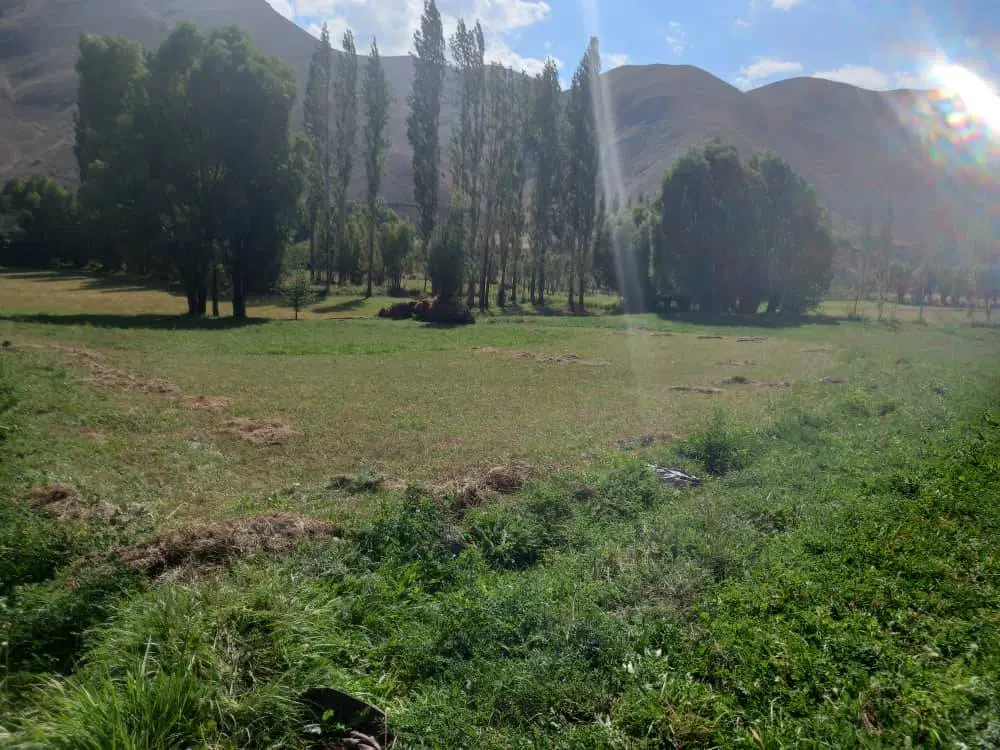 زمین کشاورزی
