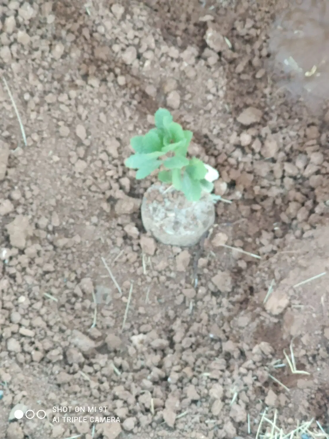 باسلام سرمایه گذاری