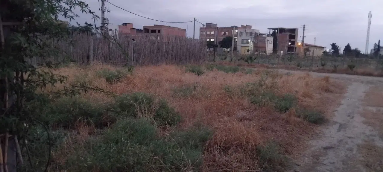 زمین باغی