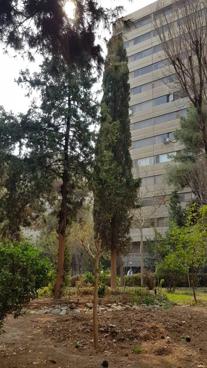 فروش سه خوابه بازسازی اکباتان دو طرف دید