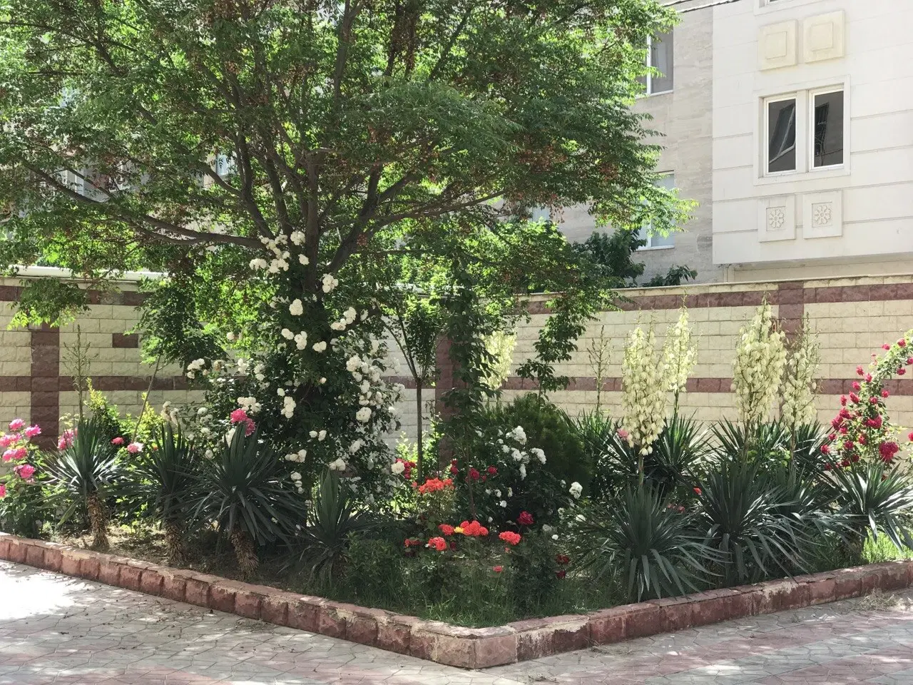 آپارتمان ۸۵ متری دوخوابه ،رحمانیه ۱۲ ،خوش نور