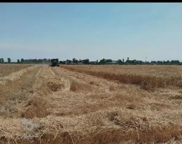 فروش باغ