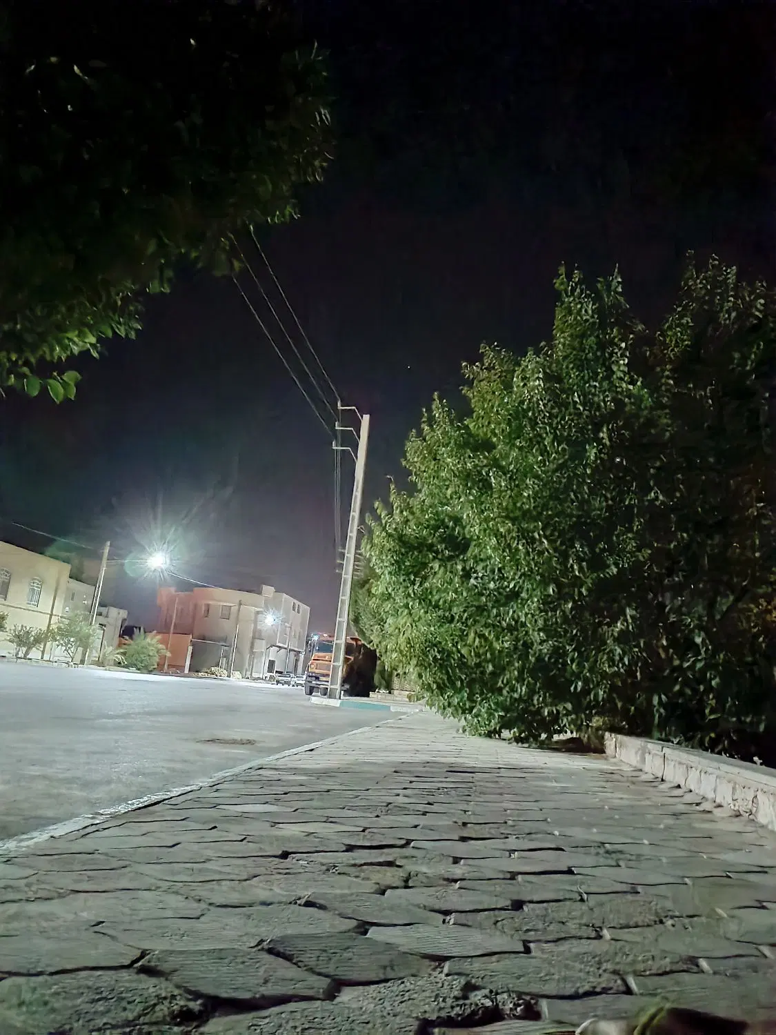 همخونه