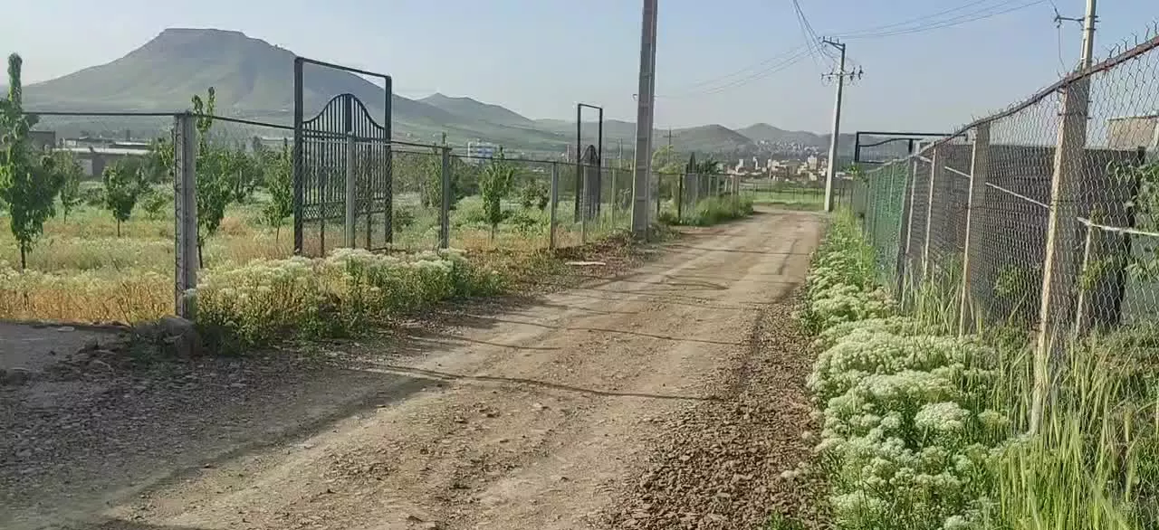 فروش خانه باغ بامبو