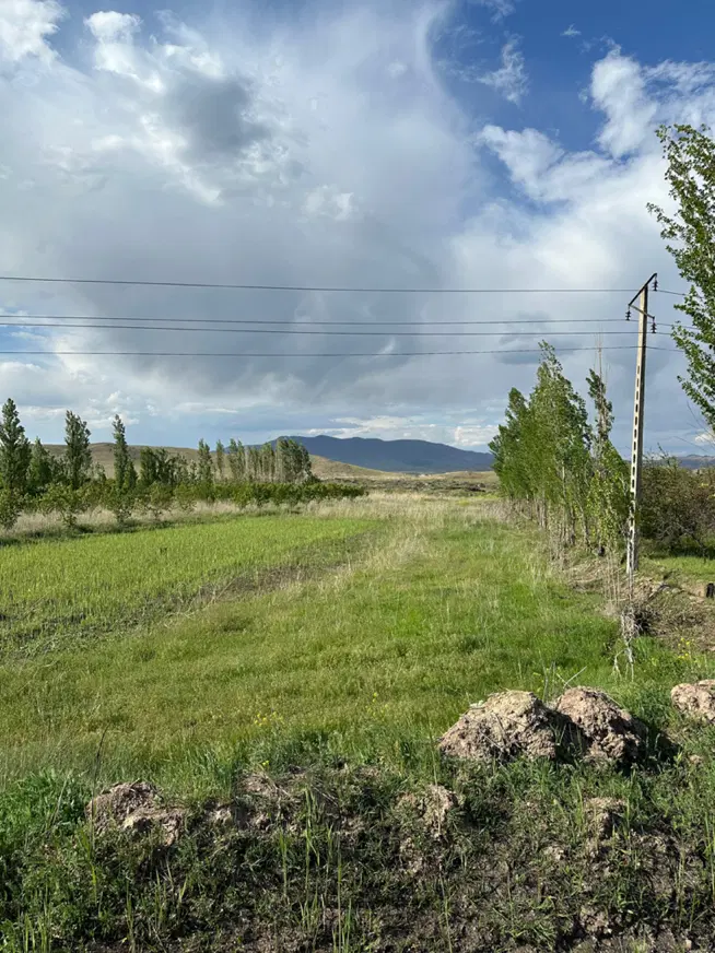 زمین برجاده بین المللی (دارای سند ششدانگ)