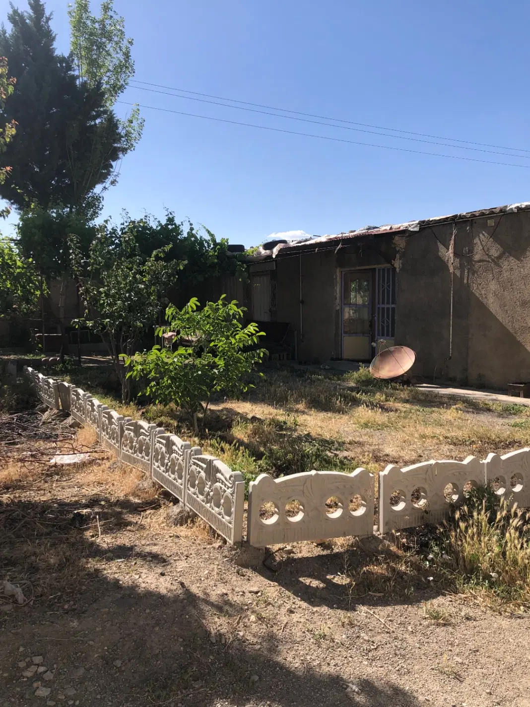 شرکت قارچ و مواد غذایی