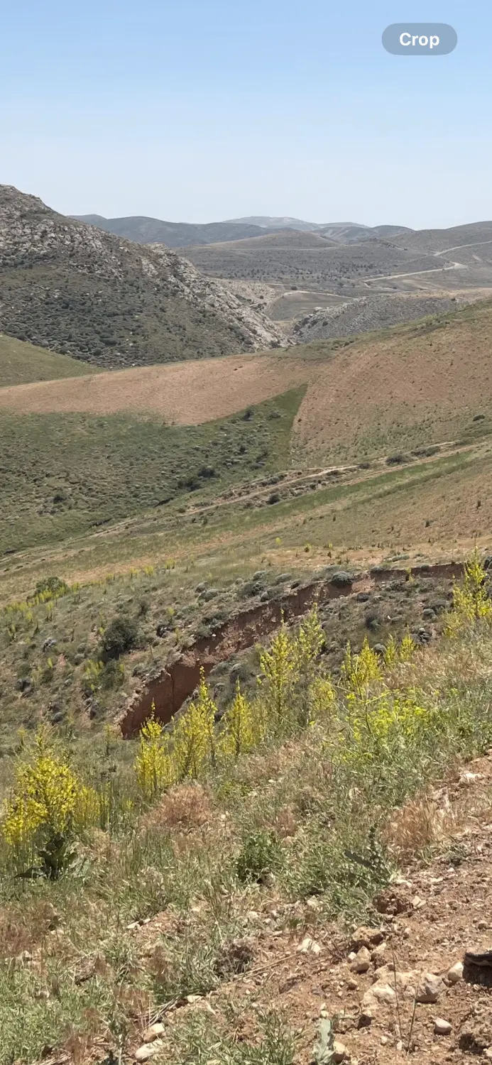 زمین فروشی باغ ویلا