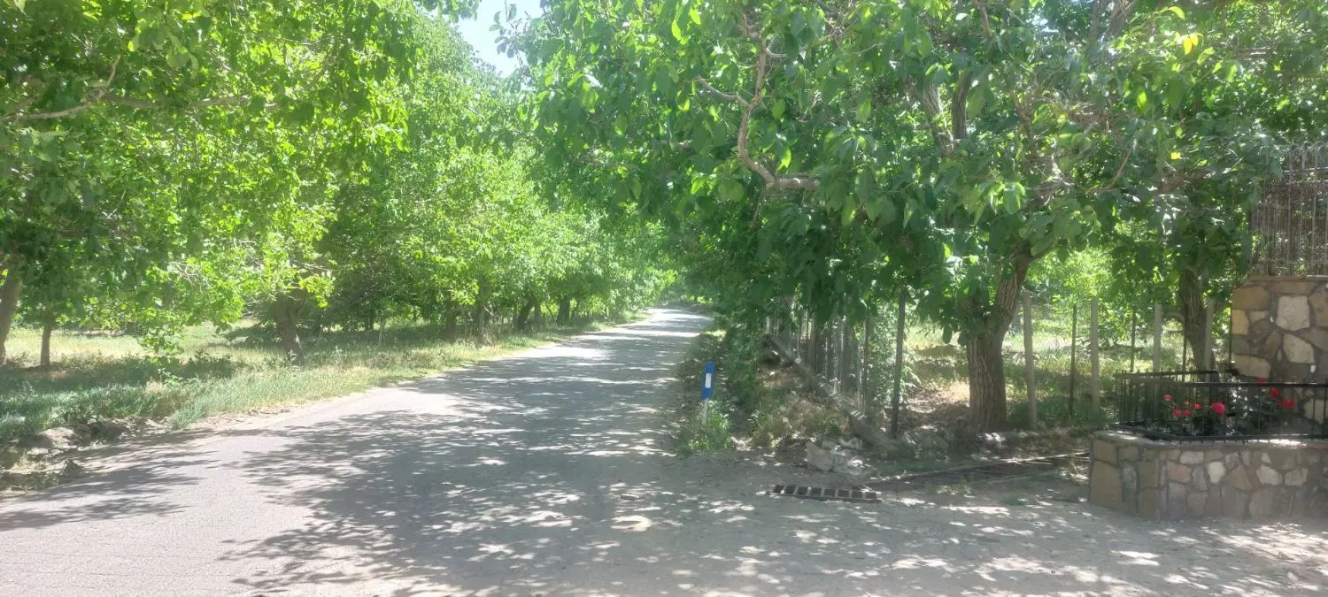 باغ فروشی روستای ورکانه