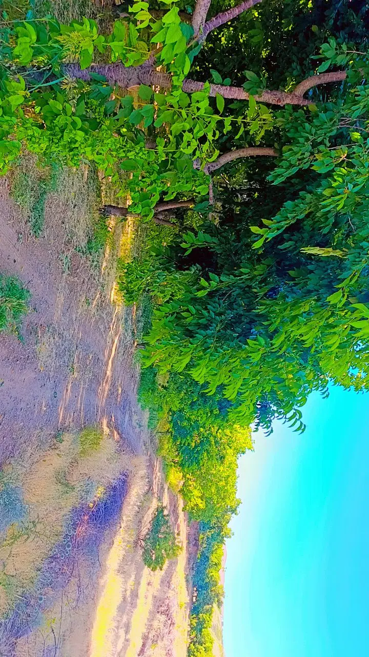 باغ ویلایی ایلبگی