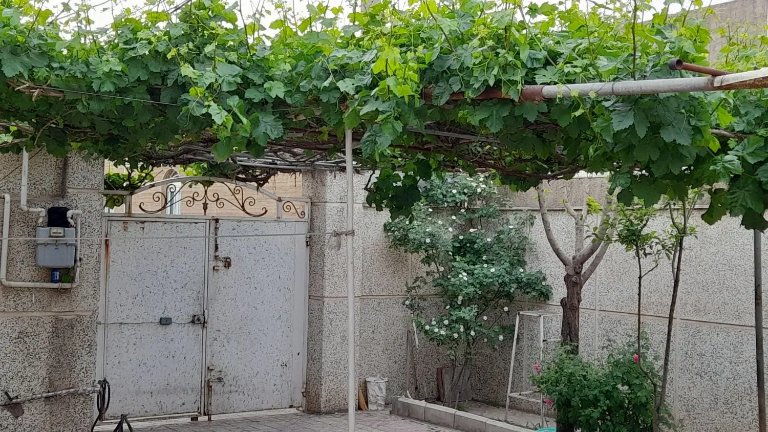 سلام خانه ویلای وباصفا خ شهیدان شجاعی بن بست نسینم
