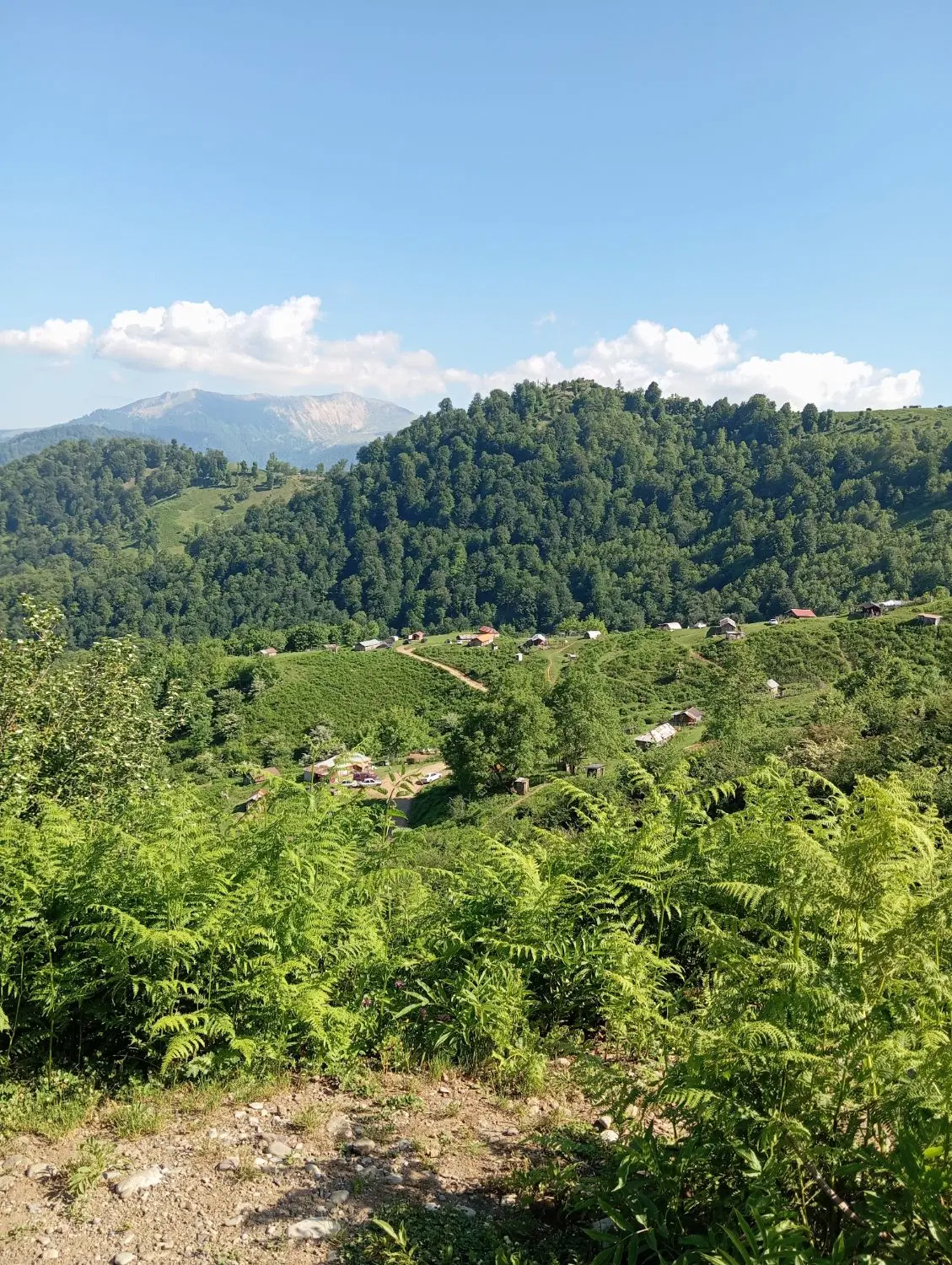 زمین کشاورزی