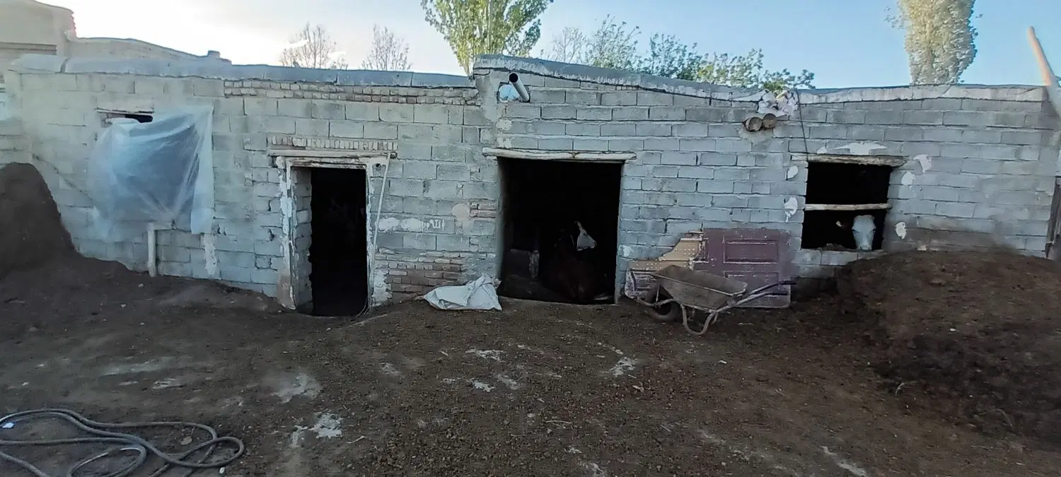 فروش حیاط در روستای بخش کندی