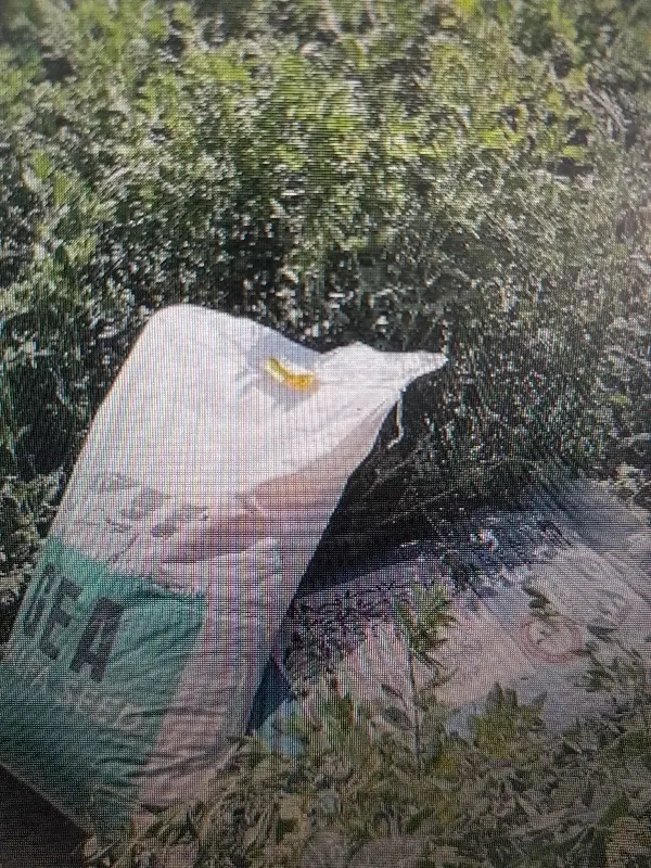زمین بَر کمربندی