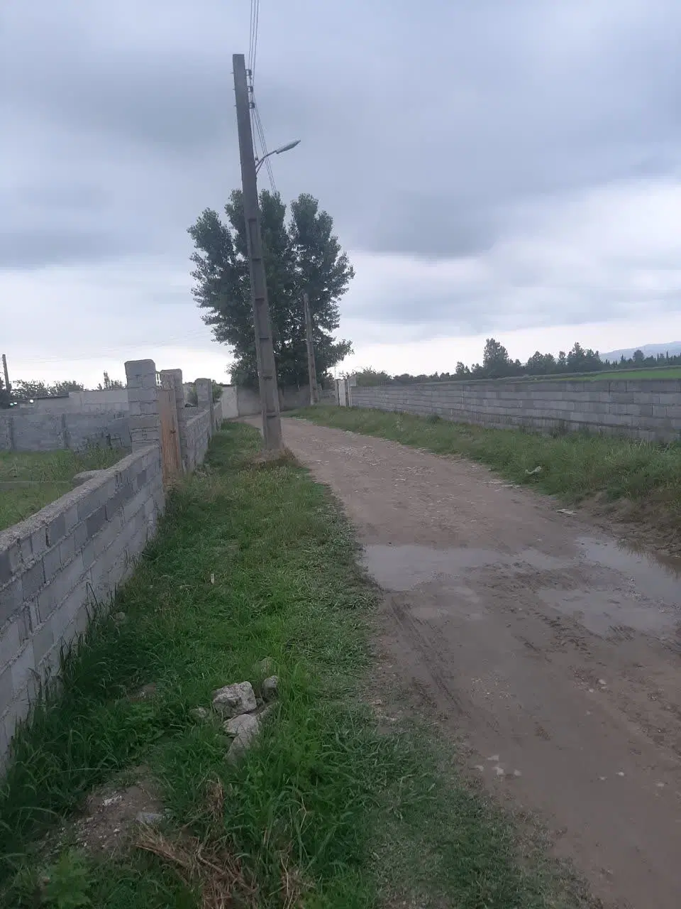 زمین  ۳۵۰متر با ویوی عالی مسکونی و باغی فیروز کلا