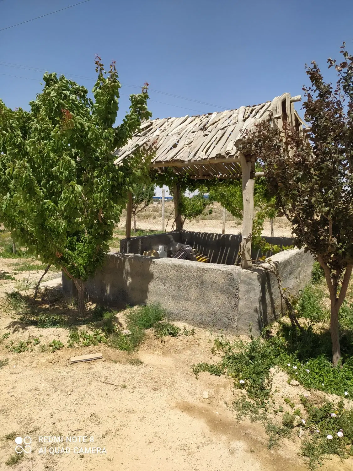 باغ فروشی سند دار