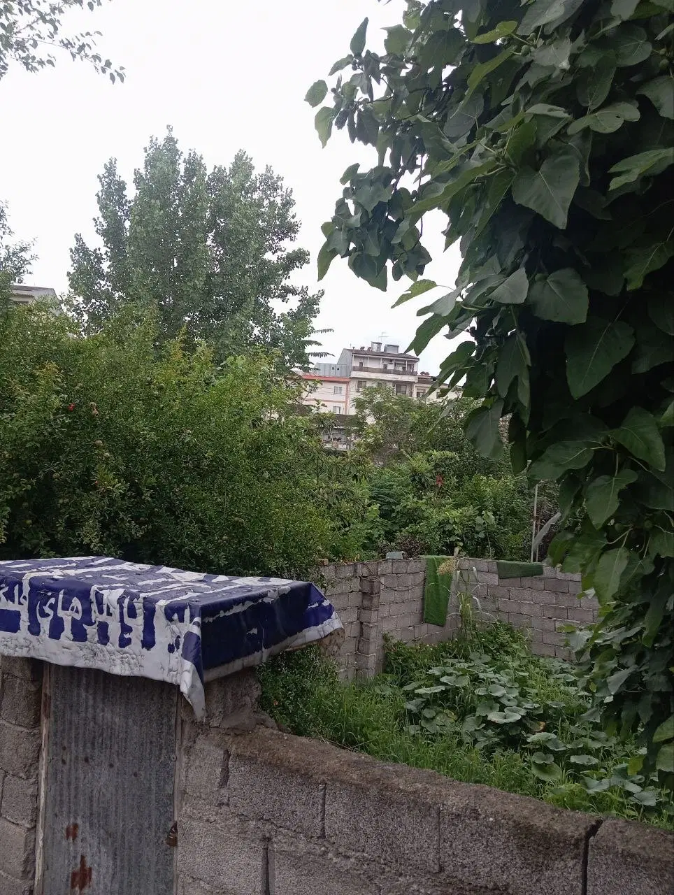 زمین ۸۰متری