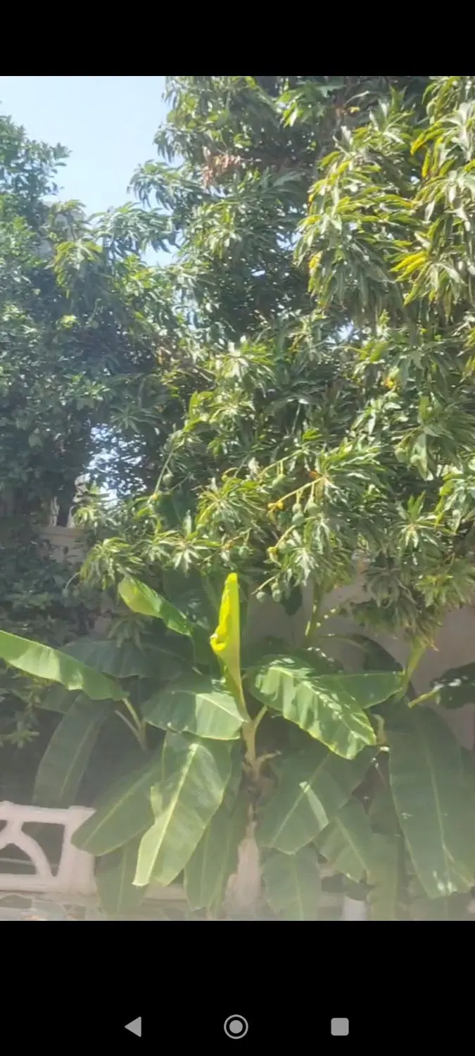 فروش خانه ویلایی هلیله ( معاوضه با طلا یا ماشین )
