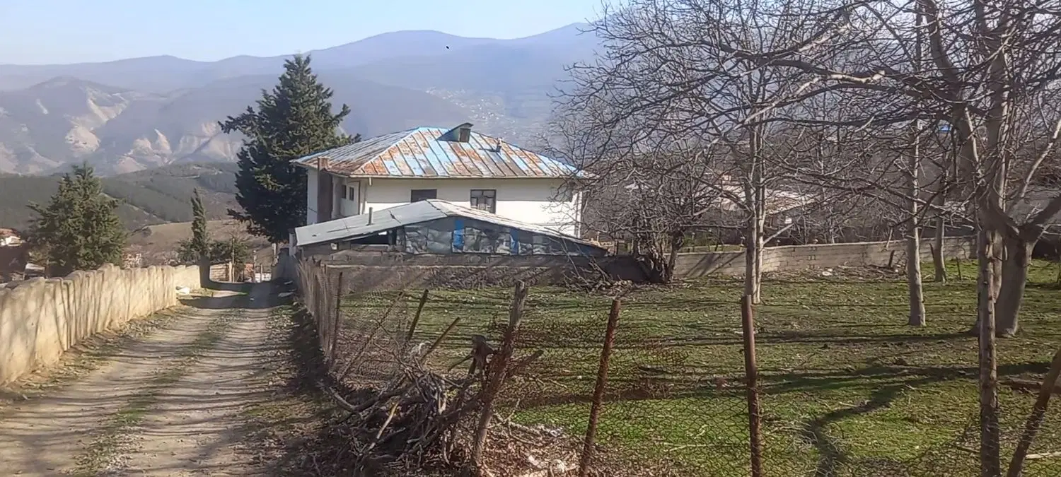 زمین پردنگون داخل بافت