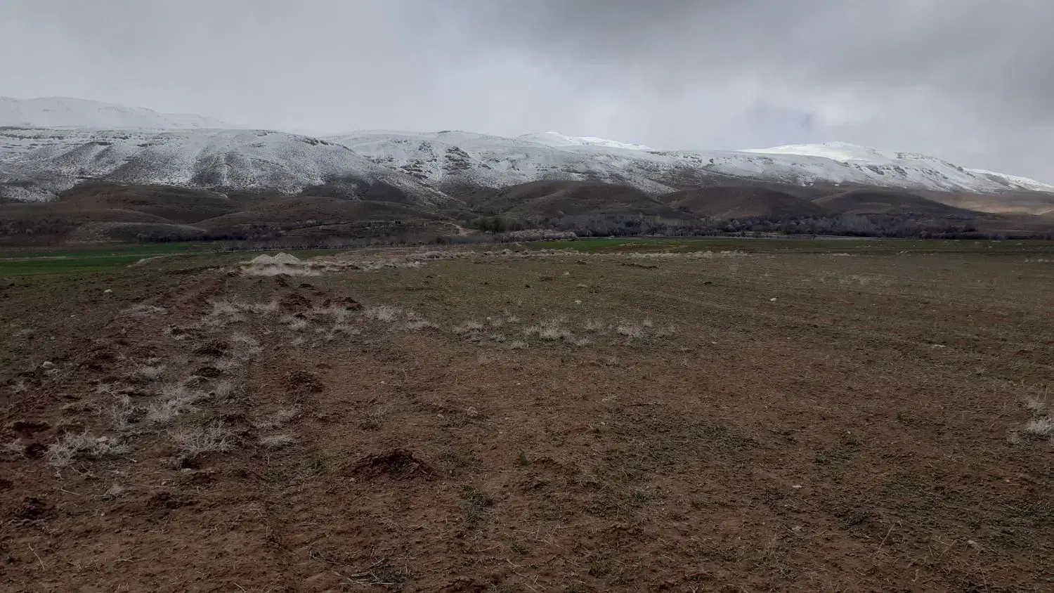 زمین باغی بلداجی فروش استثنایی