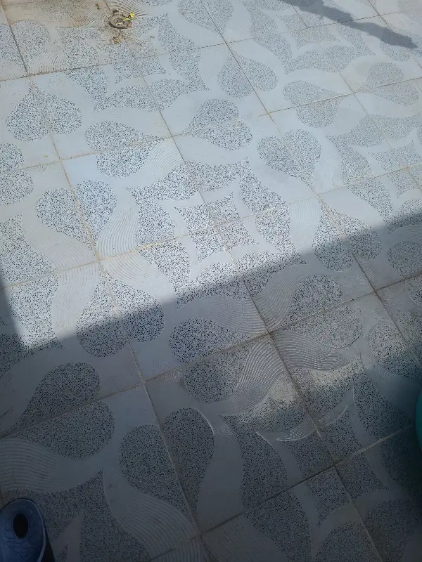 زمین املاک