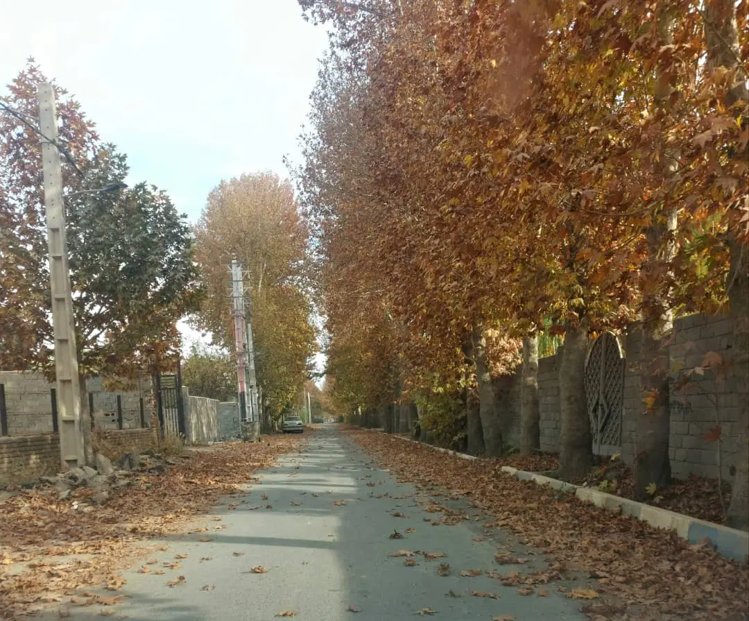 300متری __ مناسب ساخت و ساز __ جنوبی بر10