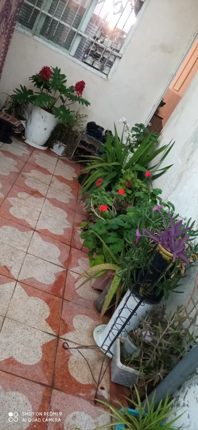منزل نودمتری درب حیاط ماشین رو