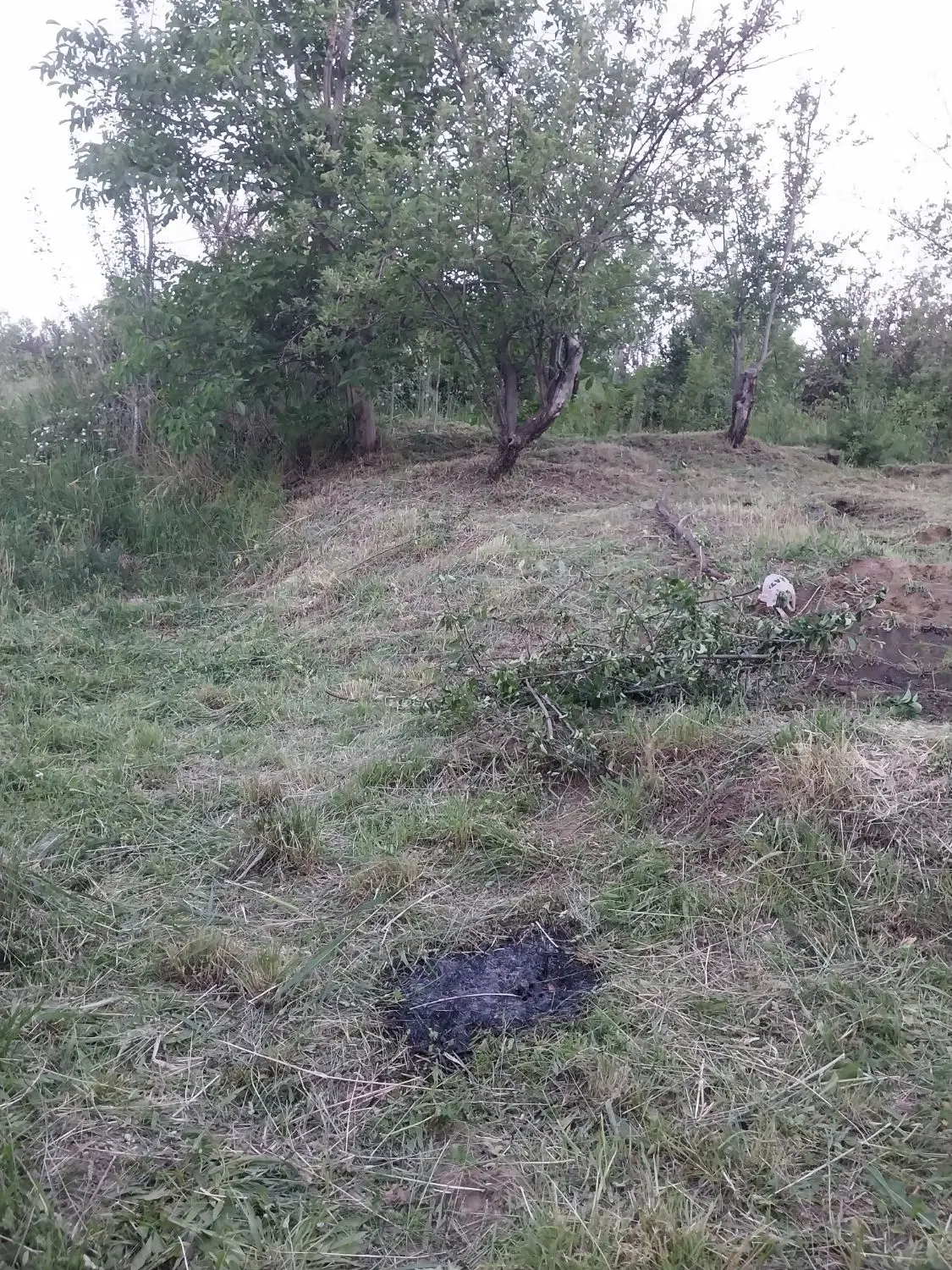 باغ حیدره بالای شهر