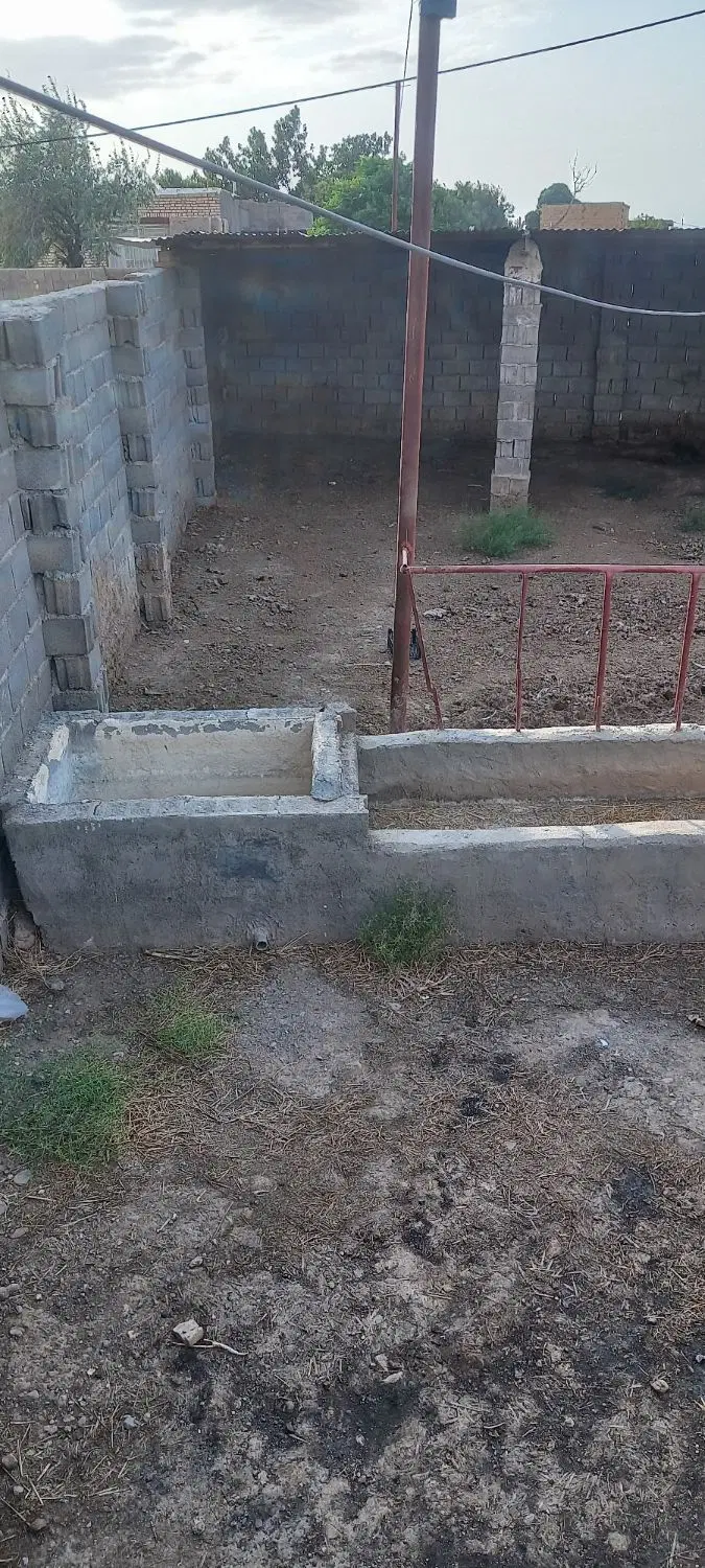 گاو داری