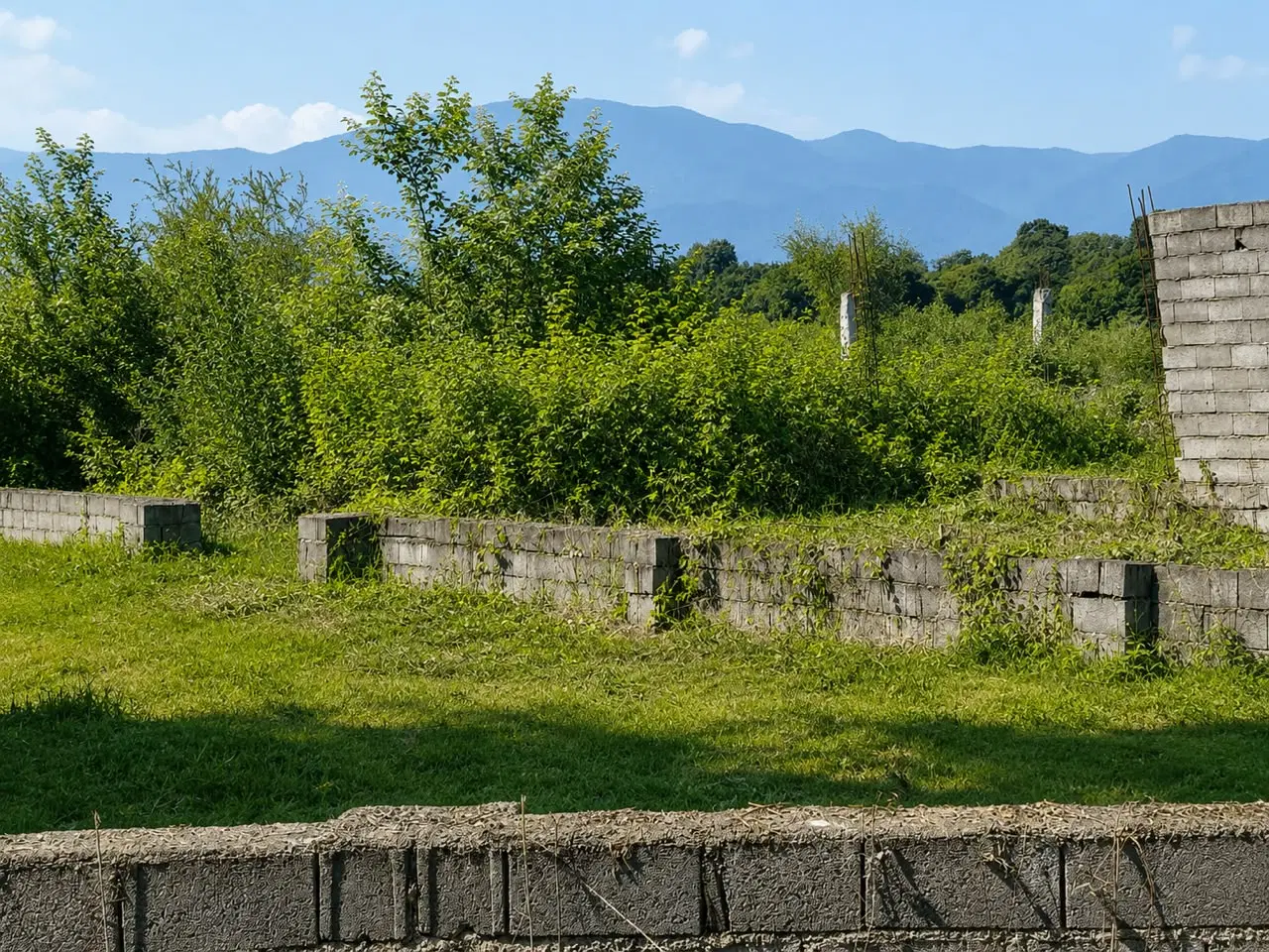 زمین ۶۵۰ متری مسکونی باویوی ابدی جنگل نور(سیاهکلا)