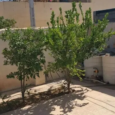 مشاورحسینی فرجام_رهن کامل ویلایی ششصد منبع اب