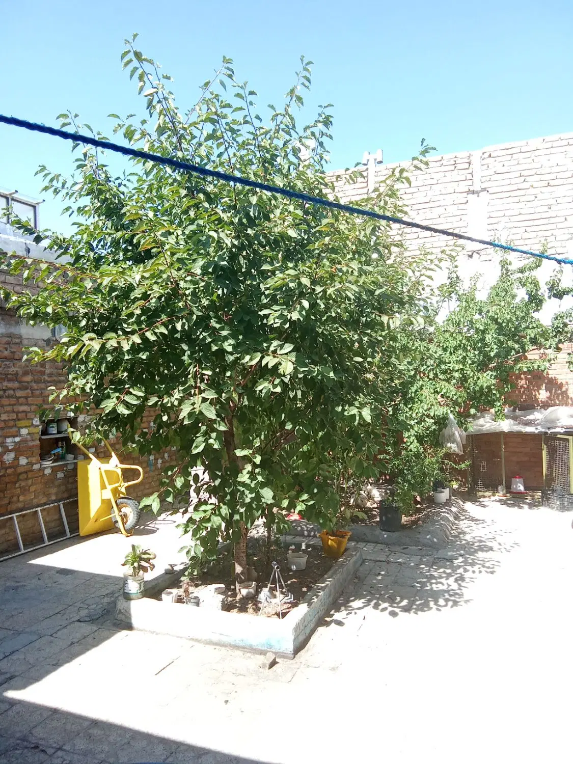 خانه فروشی در خیابان توحید