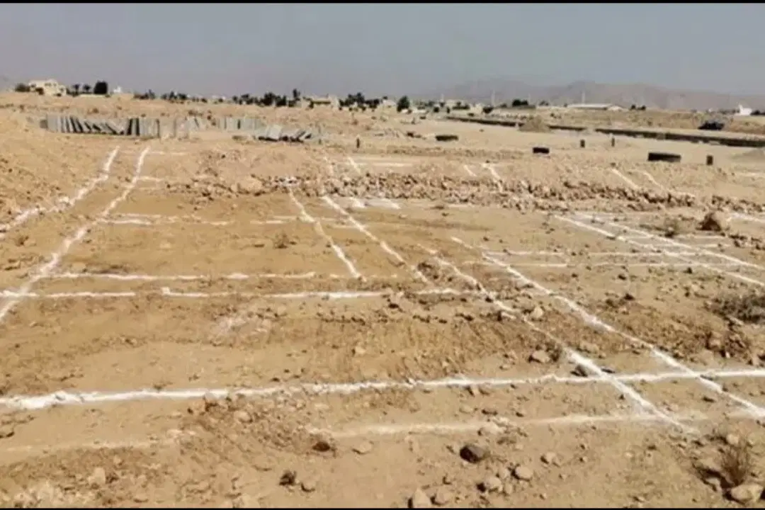 زمین طرح جوانی جمعیت