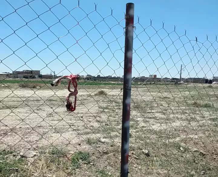زمین باغ باغچه مهرشهر کرج