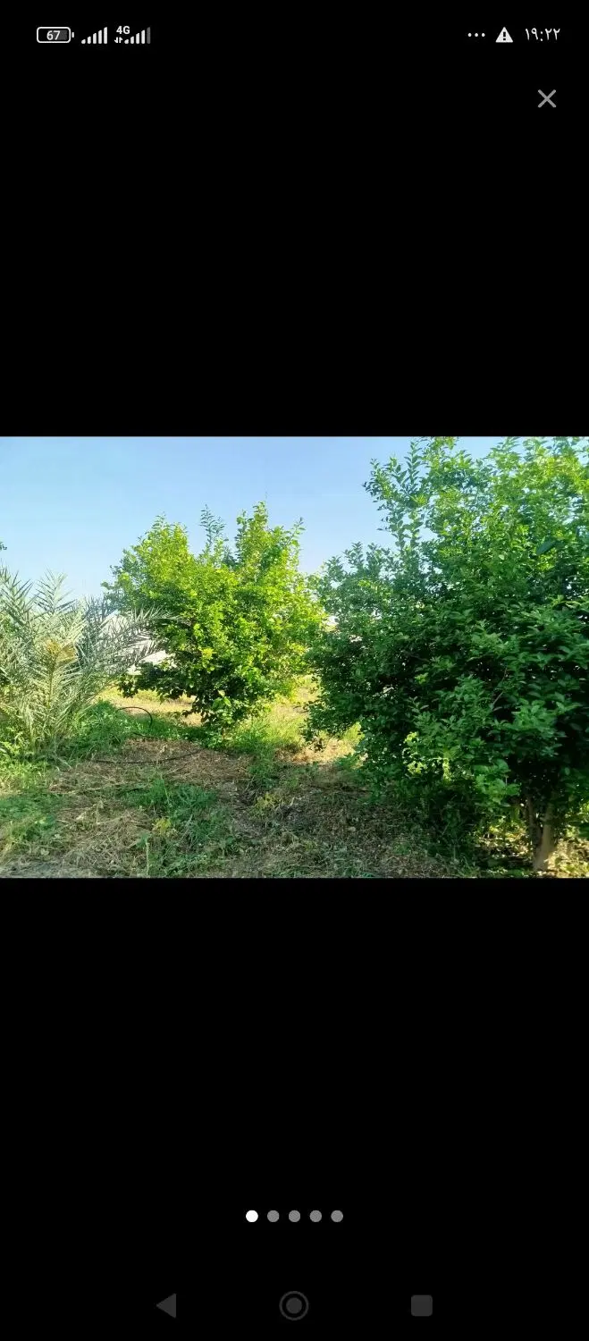 زمین